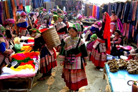 Tour Du Lịch Sapa - Chợ Bắc Hà 1 Ngày